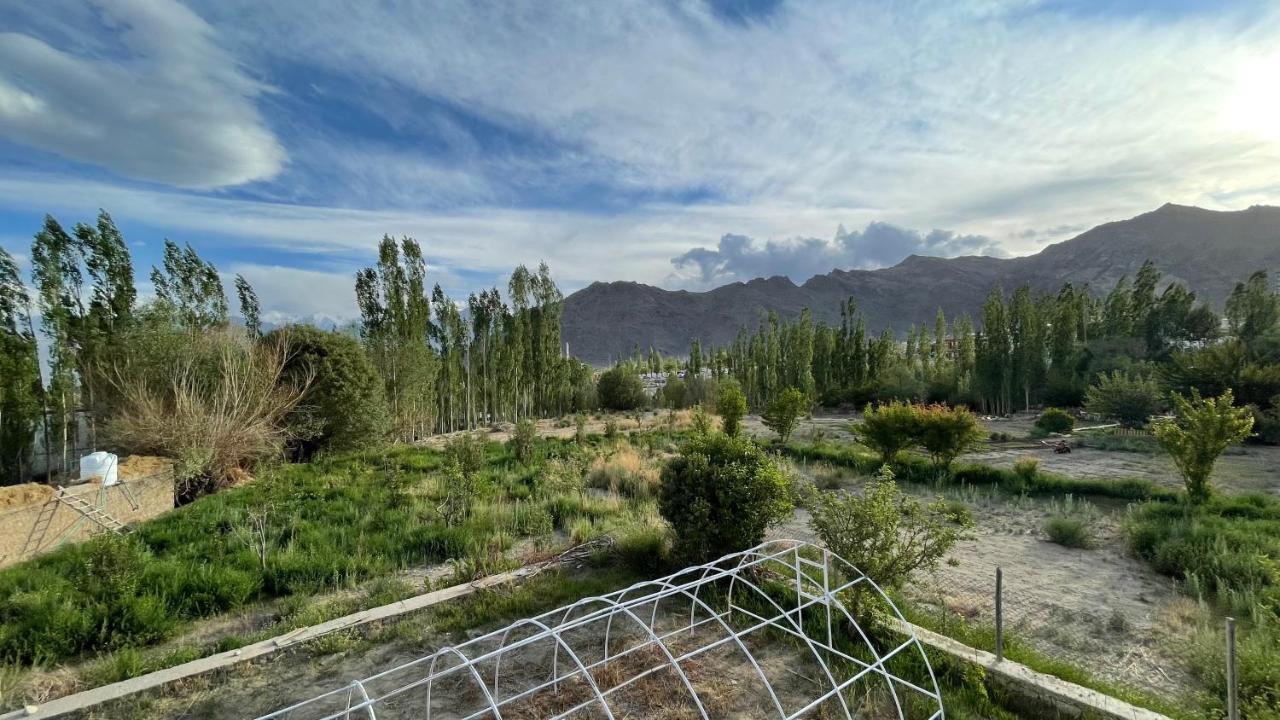 The Willow House Leh Exterior foto