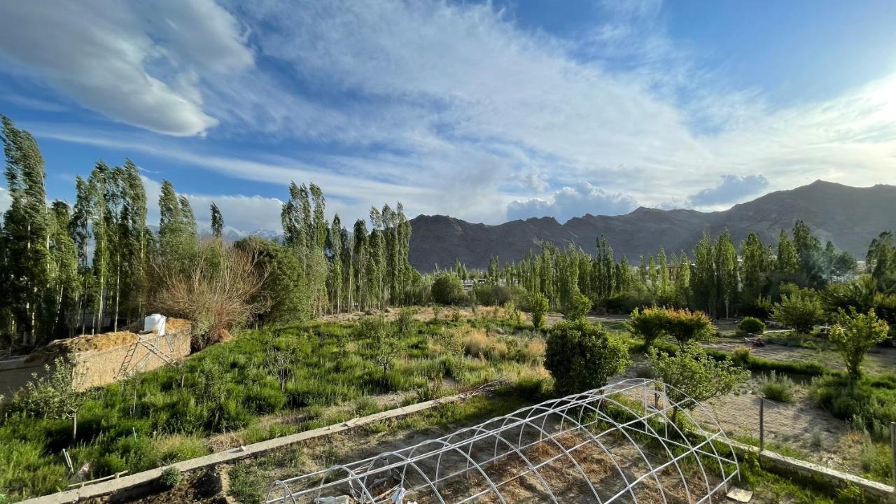 The Willow House Leh Exterior foto